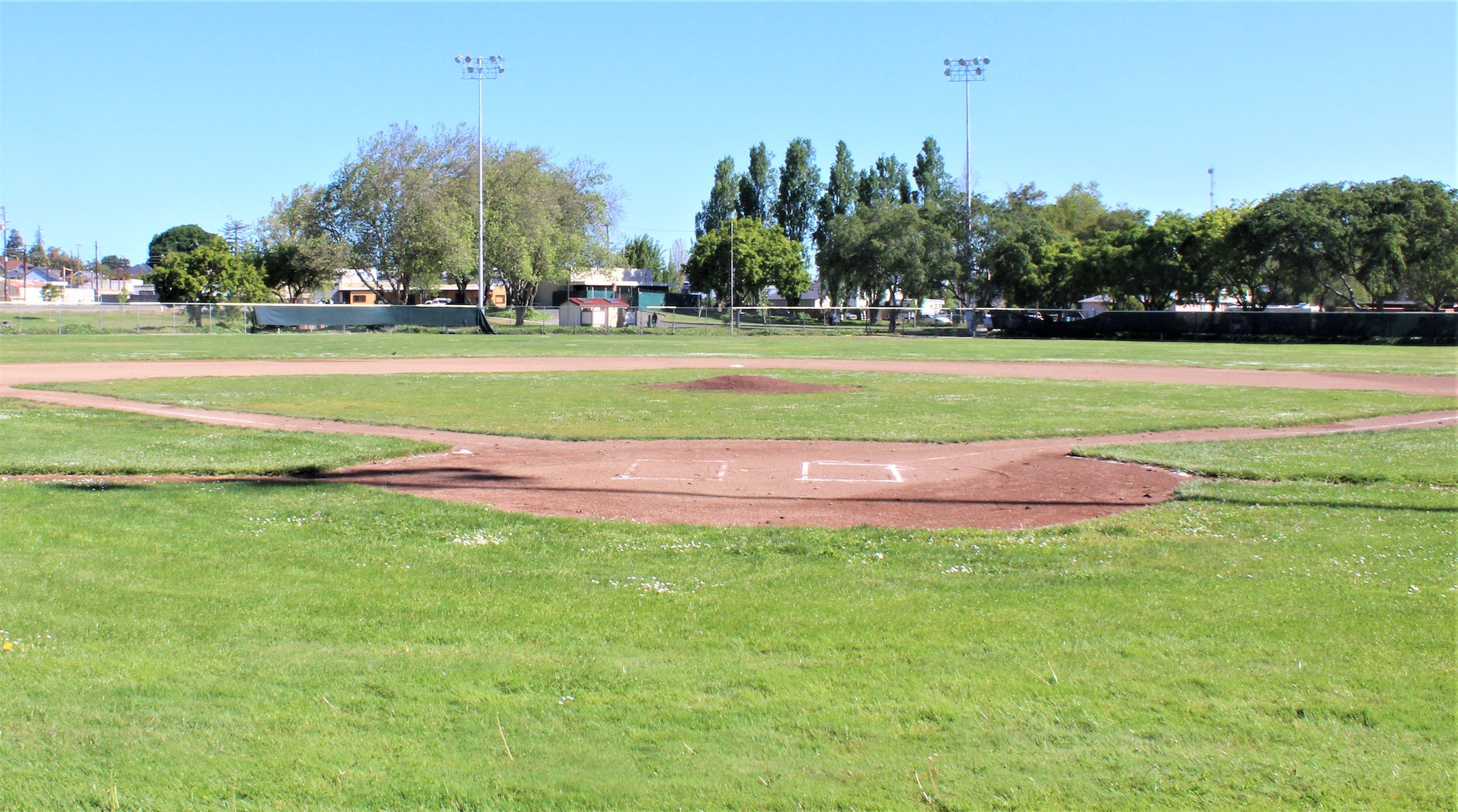 Featured image for “Torrance Field”